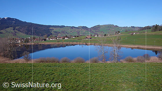 Foto: Gurnigel und Dittligsee. In der ruhigen Wasserfläche spiegeln sich die Häuser von Dittligen und der Schilfgürtel am Ufer. Der See ist von landwirtschaftlich genutzten Grünflächen umgeben.