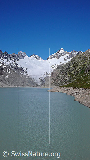 Foto: Oberaarsee, Oberaargletscher mit Gletscherzunge und Oberaar-Rothorn, Nollen, Oberaarjoch und Oberaarhorn.