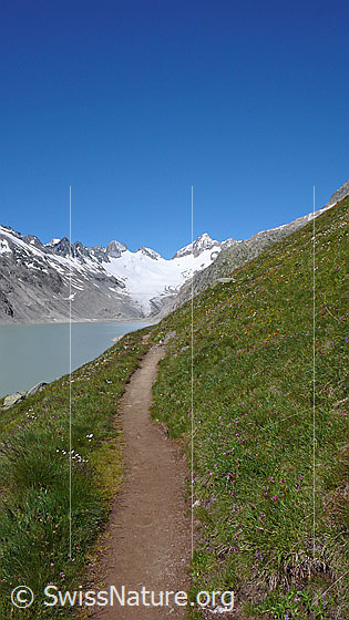 Foto: Wanderweg am Oberaarsee mit Blick zu Roossehörner, Oberaar-Rothorn, Nollen, Oberaargletscher, Oberaarjoch und Oberaarhorn.