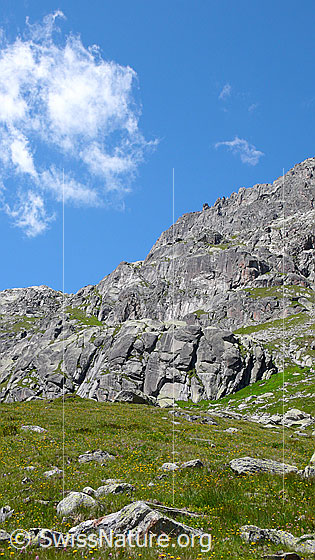 Foto: Gestufte Felswand, Bergwiese mit Felsblöcken durchsetzt und lockere Quellwolke am blauen Himmel.