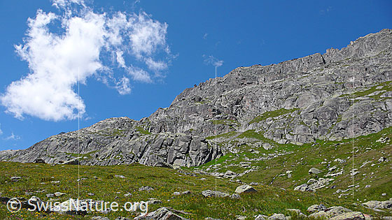 Foto: Gestufte Felswand mit Grasbändern, Bergwiese mit Felsblöcken durchsetzt und lockere Quellwolke am blauen Himmel.