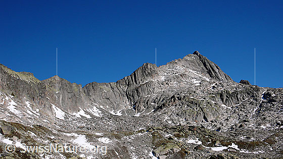 Foto: Felsgrat und Faltung der Felsen am Gipfel des Gerstenhorn.