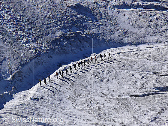 Foto: Eine Gruppe Menschen unterwegs auf dem Triftgletscher.