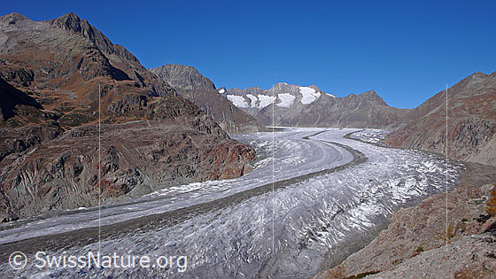 Foto: Aletschgletscher (UNESCO Weltnaturerbe). Der Eisstrom mit ausgeprägter Mittelmoräne zieht sich leicht geschwungen durch die Berglandschaft mit Zenbächenhorn, Olmenhorn, Fiescher Gabelhorn, Schönbühlhorn, Gross Wannenhorn, Klein Wannenhorn, Strahlhorn und Eggishorn.

