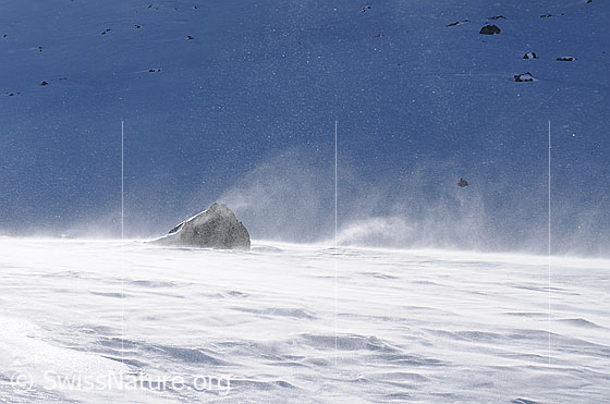 Foto: Felsblock mit Schneefahne im Sturmwind. Der Schnee wird vom starken Wind aufgewirbelt, verfrachtet und wieder abgelagert.