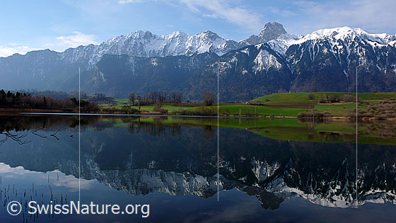 Foto: Uebeschisee mit klarer Spiegelung der Stockhornkette und der Grünfläche am Ufer des Sees.