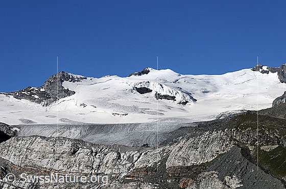 Foto: Roffelhörner, Schwarzberghorn und Schwarzberggletscher mit Gletscherabbruch. Im Vordergrund verläuft ein Felsriegel und die Seitenmoräne.
