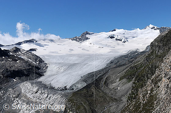 Foto: Schwarzberggletscher, Steinchalchhorn, Roffelhörner und Schwarzberghorn. Die Gletscherzunge hat sich hinter einen Felsriegel zurückgezogen.
