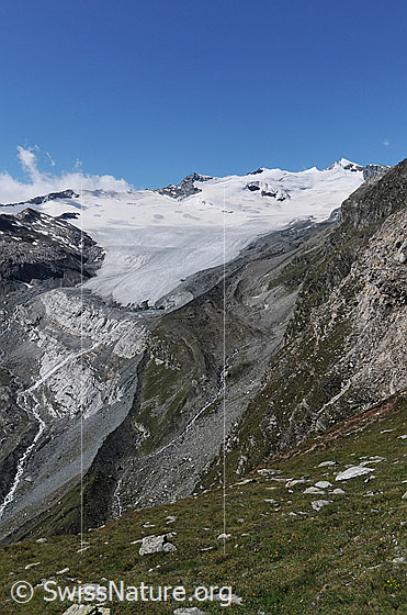 Foto: Steinchalchhorn, Roffelhörner, Schwarzberghorn und Schwarzberggletscher mit breiter Gletscherzunge und langgezogener Seitenmoräne.
