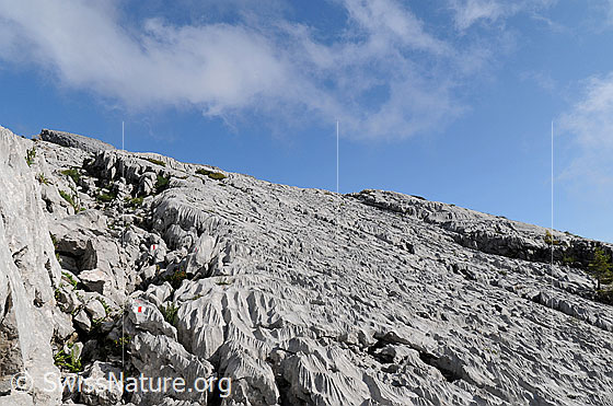 Foto: Markierter Bergweg in der Karstlandschaft der Schrattenfluh.