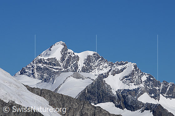 Foto: Portrait Jungfrau. Jungfrau von S. Davor Rottalhorn und Kranzberg.