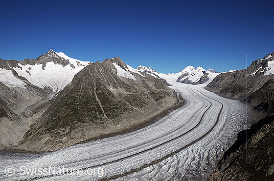 Foto: Grosser Aletschgletscher vom Eggishorn. Die Mittelmoränen sind deutlich zu sehen. Hintergrund: Aletschhorn und Mittelaletschgletscher, Olmenhorn, Kleines Dreieckhorn, Jungfrau, Mönch, Trugberg, Eiger und Chamm.
