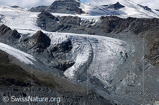 Foto: Unterer Theodulgletscher mit geschwungener Gletscherzunge und Einmündung der Gletscherzunge des Triftjigletschers. Im Hintergrund der Theodulpass.