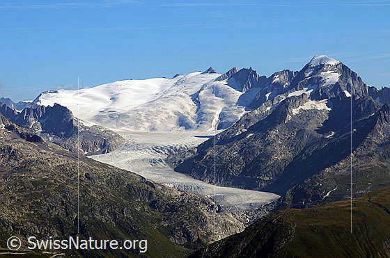 Foto: Grossfirn, Eggfirn und Rhonegletscher.
Gipfel: Dammastock, Tiefenstock und Galenstock.
