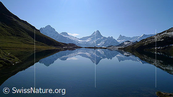 Foto: Spiegelung Bachalpsee.