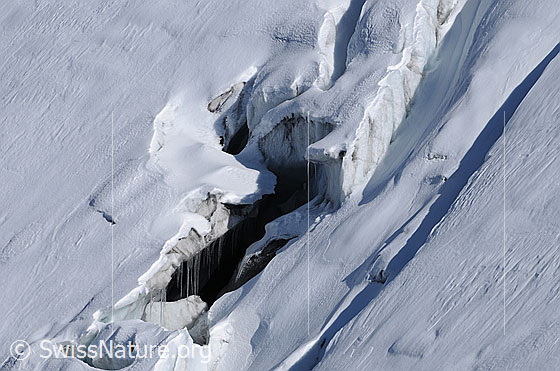 Foto: Loch im Rappegletscher. Am Eisrand haben sich Eiszapfen gebildet.