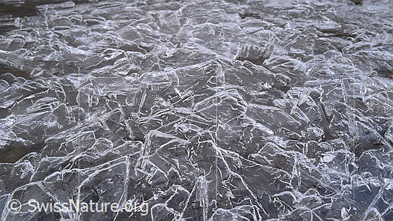 Foto: Eisgebilde in einer Eisdecke.
Eisgebilde bilden eine spezielle Struktur auf der Eisoberfläche.