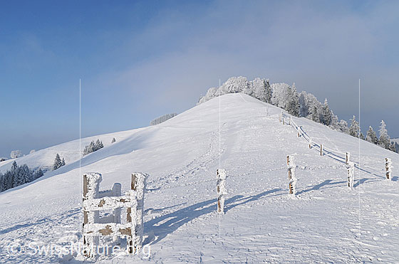 Foto: Winterlandschaft mit starkem Raureif an Weidezaun und Wäldern. Die Hügellandschaft liegt unter einer kompakten Schneedecke. Die Schneeoberfläche am Fuss des Hügels ist leicht strukturiert.