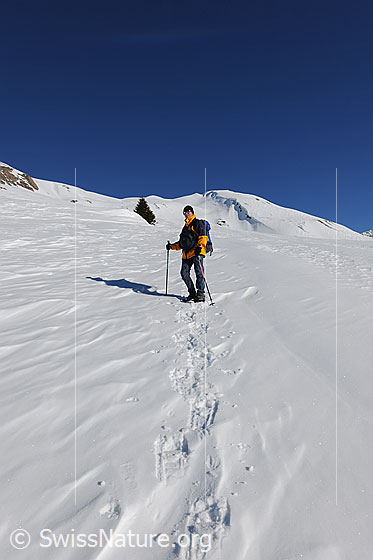 Foto: Schneeschuhwandern in weisser Landschaft und mit blauem Himmel.