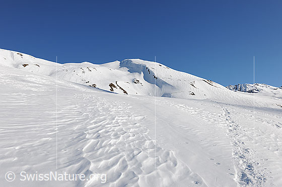 Foto: Holzerspitz, Binntal, Walllis.
Der Wind hat auf der Schneeoberfläche Strukturen entstehen lassen. Ebenfalls eine Schneeschuhspur führt durch das offene Gelände mit kompakter Schneedecke.