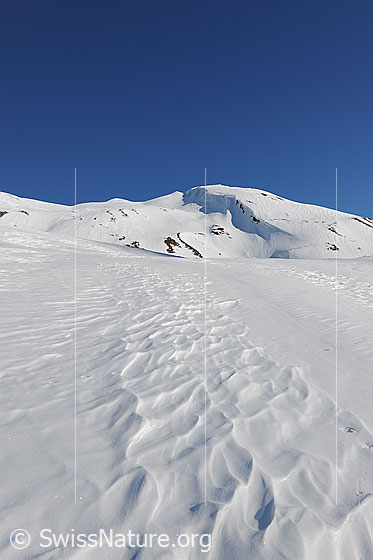 Foto: Strukturen im Schnee.
Blauer Himmel über dem schneebedeckten Holzerspitz und vom Wind geschaffene Strukturen in der Schneedecke.
