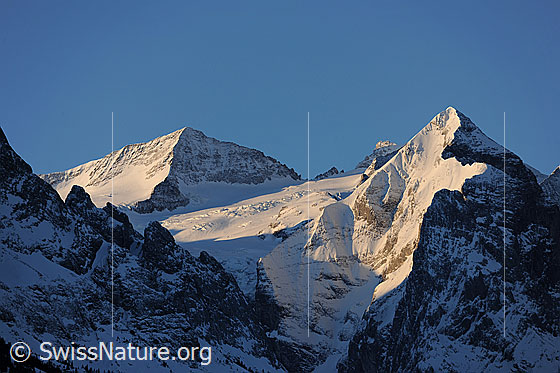 Foto: Morgenstimmung mit Engelhörner, Rosenhorn, Mittelhorn und Wellhorn.
Gletscher: Rosenlauigletscher.
