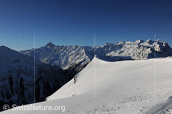Foto: Berner Alpen von Planplatten: Bänzlauistock, Ritzlihorn, Schaflägerstöck, Gallauistöck, Bättlerhorn, Hangendgletscherhorn, Ränfenhorn, Dossen, Rosenhorn, Engelhörner (davor), Mittelhorn, Wetterhorn und Scheideggwetterhorn. Gletscher: Gauligletscher, Ränfengletscher, Rosenlauigletscher und Hengsterengletscher.
