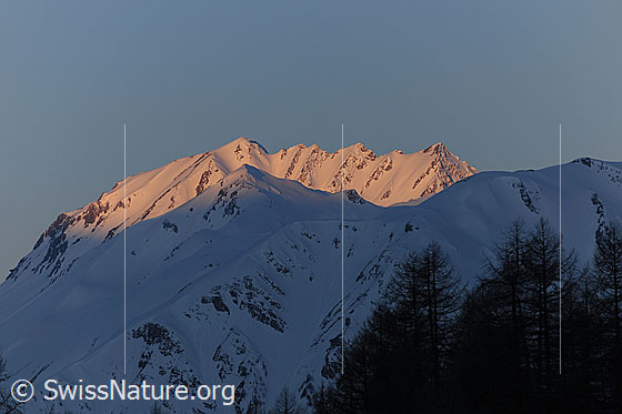 Foto: Morgenstimmung am Gipfelgrat des Bättlihorn.
