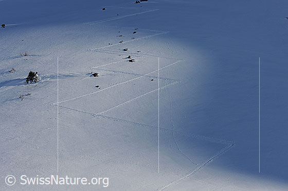 Foto: Aufstiegsspuren von Skitourenfahrern, welche ein Muster in der Schneefläche hinterlassen haben.