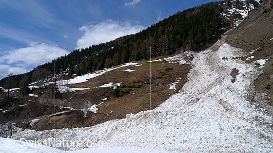 Foto: Lawinenkegel im schneefreien Talgrund. Im Hintergrund sind eine Fahrstrasse und Schutzwald zu sehen.