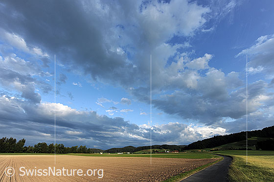 Foto: Stimmungsvoller Wolkenhimmel. Eine Nebenstrasse führt über eine landwirtschaftlich genutzte Ebene auf einen Weiler zu. Zwischen den ausgedehnten Wolkenfeldern fällt Licht auf Felder, einen angesäten Acker und auf ein Getreidefeld im Vordergrund. Im Horizont sind Wälder zu sehen.
