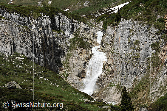 Foto: Schlucht mit Wasserfall in grünem Weidegebiet. Die Felswände sind aus hellem Gestein.
