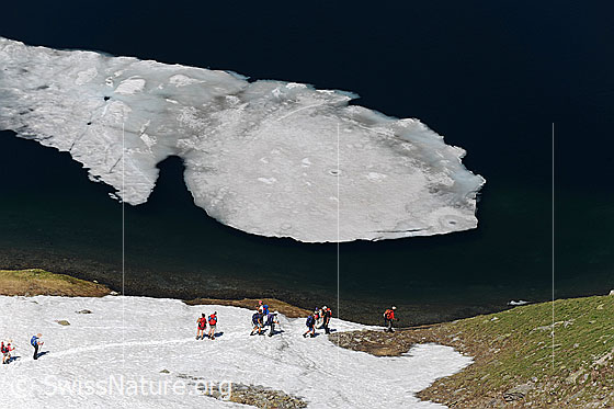 Foto: Eisscholle im See und Wanderer am Ufer. Touristen bestaunen eine grössere Eisscholle im Uferbereich des Geisspfadsee.