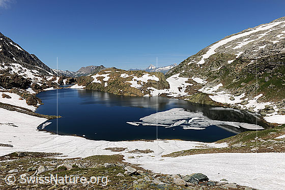 Foto: Berglandschaft und dunkelblaue Seen (Geisspfadsee und Züesee) mit Eisschollen. Die Bergseen sind noch von Schneefeldern umgeben.