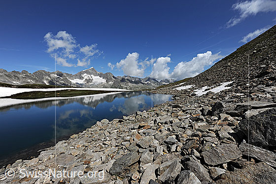 Foto: Spiegelung im Schwärziseeli. Ruhiger Bergsee (Unterster See der Schwärziseeli), in welchem sich der Galenstock, ein langezogenes Schneefeld und die Quellwolken spiegeln. Das im Vordergrund ist steinig.