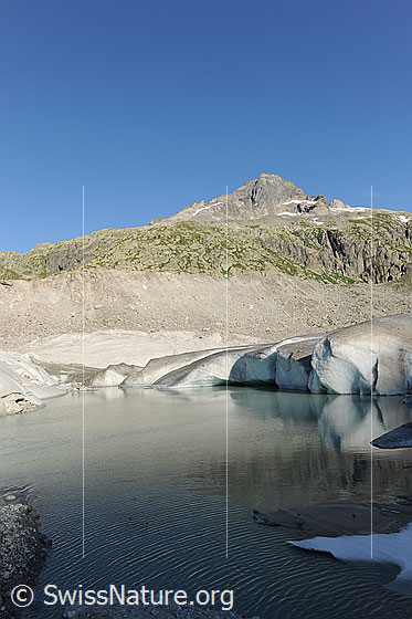 Foto: Gletschersee und Gletschereis des Rhonegletschers mit Seitenmoräne und Gärstenhörner im Hintergrund. Die Wasserfläche am Ufer ist leicht gewellt.
