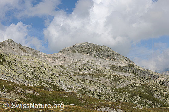 Foto: Sidelhorn von S. Darüber Quellbewölkung und im Vordergrund eine Alpweide.