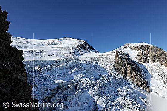 Foto: Steilimigletscher und Tierberge.
