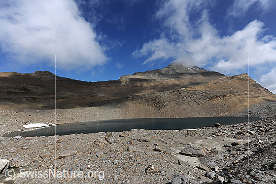 Foto: Chaltwassersee und Wasenhorn mit ausgedehnten Geröllfeldern und Quellwolken am blauen Himmel.