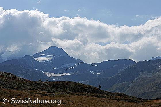 Foto: Böshorn und Quellbewölkung
Gletscher: Griessernuhorngletscher (oben) und Sirwoltegletscher (unten).