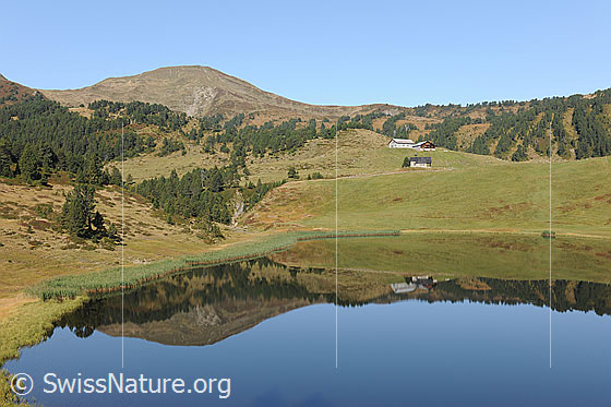 Foto: Blauer Bergsee (Sewenseeli) mit Spiegelung der lieblichen Berglandschaft mit Alpweiden, Wäldern und den Gebäuden einer Alp.
