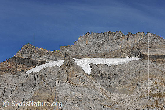 Foto: Südostflanke des Fründenhorn. In die Flanke eingelagert ist ein Gletscher, welcher von schräg unten wie ein fliegender Greifvogel aussieht. Die Felswand weist interessante Faltungen und Felsformationen auf.
Gletscher: Fründenhorn-SE.
