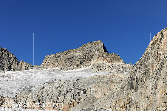 Foto: Gross Diamantstock und Bächligletscher.
Links die Obri Bächli-Licken (Obere Bächlilücke, Übergang ins Gauligebiet), rechst die Undri Bächli-Licken (Untere Bächlilücke, Übergang zur Gruebenhütte)