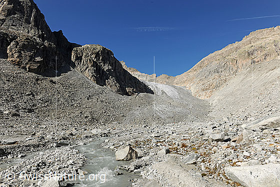 Foto: Bächligletscher und Geröllfeld mit Bächlisbach.