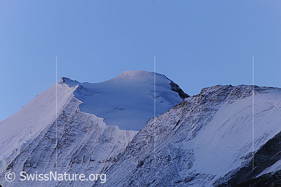 Foto: Bishorn und Turtmanngletscher am frühen Morgen.