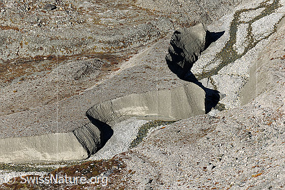 Foto: Erosion einer Moräne im Turtmanntal.