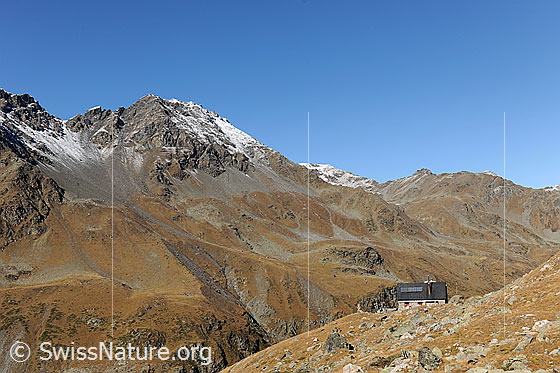 Foto: Turtmannhütte in herbstlicher Berglandschaft. Im Hintergrund das Frilihorn.