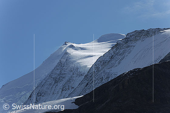 Foto: Bishorn mit Spur eines Einzelgängers auf dem Turtmanngletscher. Davor ein verschneiter Felsgrat.