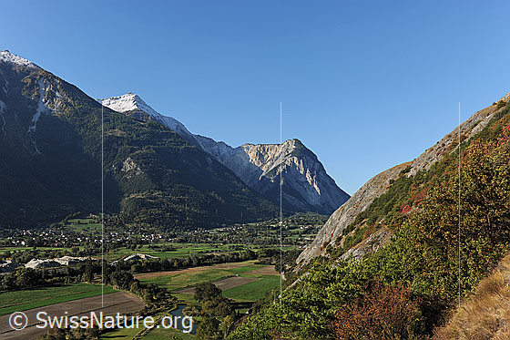 Foto: Illhorn und Illgraben (grösstes Wildbachgerinne der Schweiz) mit Ebene des Rhonetals im Vordergrund.