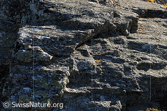 Foto: Detailansicht einer Felspartie mit Strukturen und kleiner Felsstufe.